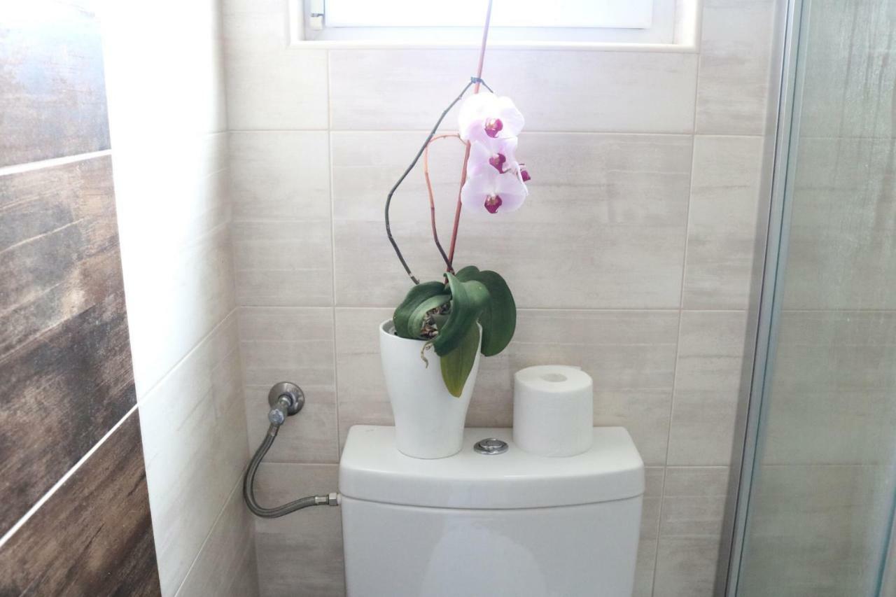 טרוגיר Apartments Ela מראה חיצוני תמונה